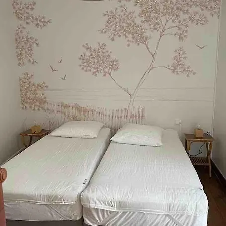 Familiale Au Moulleau 200m Arcachon