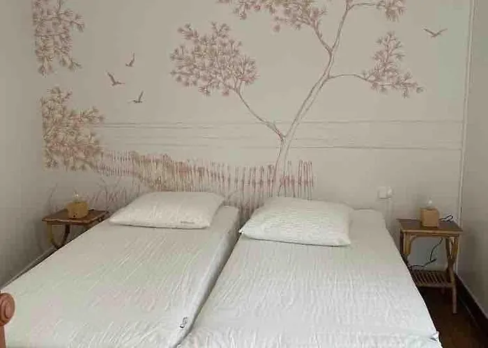 Familiale Au Moulleau 200m アルカション